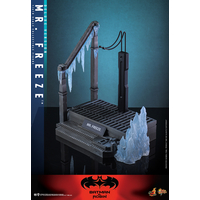 DC Mr Freeze Deluxe Version 1:6 Scale Figure Hot Toys MMS800 9142792