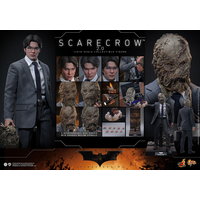 DC Scarecrow (2_0) 1:6 Scale Figure Hot Toys MMS801 913848