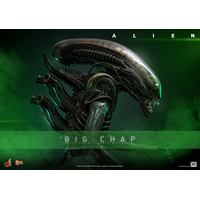 Alien Big Chap 1:6 Figurine Échelle 1:6 Hot Toys MMS826 914712