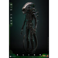 Alien Big Chap 1:6 Figurine Échelle 1:6 Hot Toys MMS826 914712