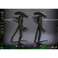 Alien Big Chap 1:6 Figurine Échelle 1:6 Hot Toys MMS826 914712