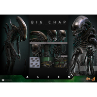 Alien Big Chap 1:6 Figurine Échelle 1:6 Hot Toys MMS826 914712