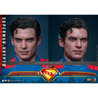 DC Superman & Krypto 1:6 Scale Figure Set Hot Toys MMS812 914463