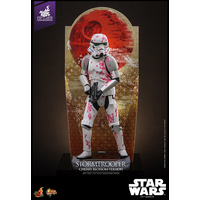 Star Wars Stormtrooper Cherry Blossom Exclusive Version 1:6 Scale Figure Hot Toys MMS776 913985