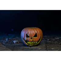 Halloween: The Curse of Michael Myers Ultimate Michael Myers 7-inch Action Figure NECA 60652