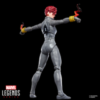 Marvel Legends Series Black Widow 6-Inch Action Figure Hasbro G0816
