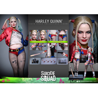 DC Harley Quinn (Suicide Squad) 1:6 Scale Figure Hot Toys MMS841 914876