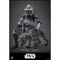 Star Wars: The Clone Wars Sergeant Hound 1:6 Scale Figure Hot Toys TMS167 914785