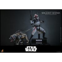 Star Wars: The Clone Wars Sergeant Hound 1:6 Scale Figure Hot Toys TMS167 914785