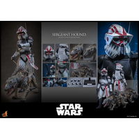Star Wars: The Clone Wars Sergeant Hound 1:6 Scale Figure Hot Toys TMS167 914785