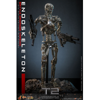 Terminator 2: Judgment Day Endoskeleton (Battle Damaged Version) Diecast 1:6 Scale Figure Hot Toys MMS840D77 914879