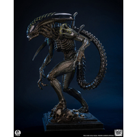 Grid Alien Statue Échelle 1:2 PCS PCSAVPGRID12 915087