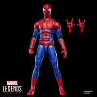 Marvel Legends Series The Amazing Spider-Man - Spider-Man No Way Home Figurine 6 pouces Hasbro G2054