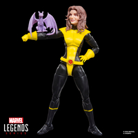 Marvel Legends Series X-Men Kitty Pryde & Marvel’s Colossus 6-inch Action Figure Two-Pack Hasbro G2127