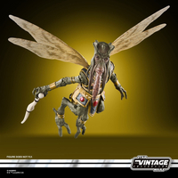 Star Wars The Vintage Collection Attack of the Clones Poggle the Lesser 3,75-inch Action Figure Hasbro VC391 G2602