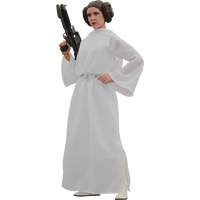 Star Wars: Épisode IV Un Nouvel Espoir Princesse Leia Figurine échelle 1:6 Hot Toys MMS298 902490
