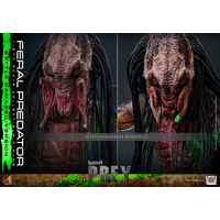Feral Predator (Battle Damaged Version) 1:6 Scale Figure Hot Toys TMS173 915173