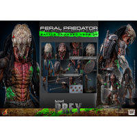 Feral Predator (Version Endommagée par la Bataille) Figurine Échelle 1:6 Hot Toys TMS173 915173