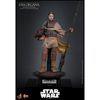 Star Wars: Le Retour du Jedi Leia Organa (Uniforme Boushh) Figurine Échelle 1:6 Hot Toys MMS854 915127