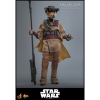 Star Wars: Le Retour du Jedi Leia Organa (Uniforme Boushh) Figurine Échelle 1:6 Hot Toys MMS854 915127
