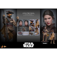 Star Wars: Le Retour du Jedi Leia Organa (Uniforme Boushh) Figurine Échelle 1:6 Hot Toys MMS854 915127