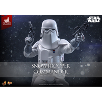 Star Wars: The Empire Strikes Back Snowtrooper Commander 1:6 Scale Collectible Figure Hot Toys MMS835 915043
