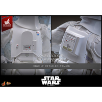 Star Wars: The Empire Strikes Back Snowtrooper Commander 1:6 Scale Collectible Figure Hot Toys MMS835 915043
