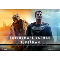 DC Knightmare Batman et Superman Ensemble de 2 figurines à l'échelle 1:6 Hot Toys 908013 TMS038