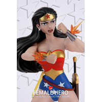 Female Hero Figure Action Figure 1/6 S-Hero (SH007)