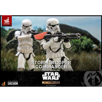 Star Wars Stormtrooper Commander EXCLUSIVE 1:6 Scale Figure Hot Toys 908291 TMS041