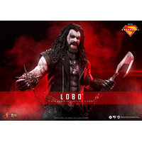 DC Lobo Figurine Échelle 1:6 Hot Toys MMS890 915708