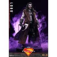 DC Lobo Figurine Échelle 1:6 Hot Toys MMS890 915708