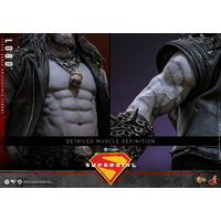 DC Lobo 1:6 Scale Collectible Figure Hot Toys MMS890 915708