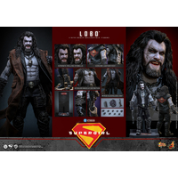 DC Lobo 1:6 Scale Collectible Figure Hot Toys MMS890 915708