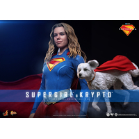 DC Supergirl & Krypto Ensemble de figurines Échelle 1:6 Hot Toys MMS869 915560