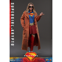 DC Supergirl & Krypto Ensemble de figurines Échelle 1:6 Hot Toys MMS869 915560