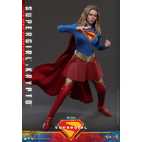 DC Supergirl & Krypto 1:6 Scale Figure Set Hot Toys MMS869 915560