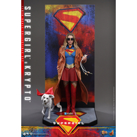 DC Supergirl & Krypto 1:6 Scale Figure Set Hot Toys MMS869 915560