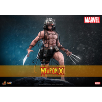 Marvel Weapon X 1:6 Scale Figure Hot Toys CMS034 915594