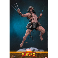 Marvel Weapon X 1:6 Scale Figure Hot Toys CMS034 915594