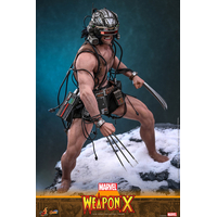 Marvel Weapon X 1:6 Scale Figure Hot Toys CMS034 915594