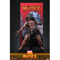 Marvel Weapon X 1:6 Scale Figure Hot Toys CMS034 915594
