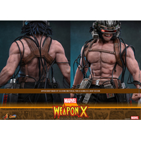 Marvel Weapon X 1:6 Scale Figure Hot Toys CMS034 915594