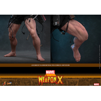 Marvel Weapon X 1:6 Scale Figure Hot Toys CMS034 915594