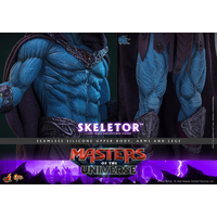 Masters of the Universe Skeletor Figurine Échelle 1:6 Hot Toys MMS889 915719