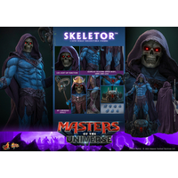 Masters of the Universe Skeletor Figurine Échelle 1:6 Hot Toys MMS889 915719