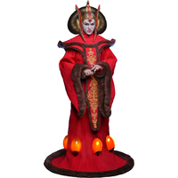 Star Wars: La Menace Fantôme Reine Amidala Figurine Échelle 1:6 Hot Toys MMS883 915687