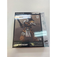 ​Warhammer 40K Imperial Fists Legion Apothecary Joy Toy JT02472