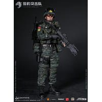 Chinese's People Armed Police Force Snow Leopard Commando Unit figurine 1:6 Damtoys 78052