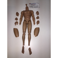 True Type Male Figure Body Caucasian 12 in action figure *** NOT *** Hot Toys  Nude body with no head